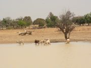 Transition climatique: lancement d’une nouvelle plateforme d’investissement