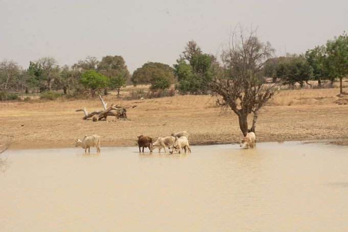 Transition climatique: lancement d’une nouvelle plateforme d’investissement