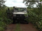 Burkina: une opération de lutte anti-braconnage menée avec succès