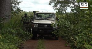 Burkina: une opération de lutte anti-braconnage menée avec succès