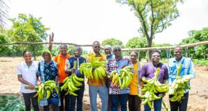 Burkina: la matérialisation de la vision du président du Faso pour la production agricole et l’autosuffisance alimentaire