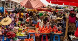 Afrique: Les Nations Unies appellent à soutenir les PME africaines et l’agriculture