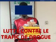 L’opération Epervier 10 déniche une grande quantité de drogue à Sakassou