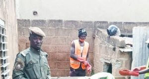 Ouagadougou: la police municipale en action contre l’élevage du porc en ville