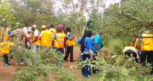 Burkina: des Lions aux doigts verts