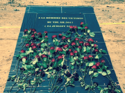 In memoriam – 11e anniversaire du Crash Air Algérie AH5017