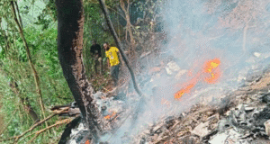 Accident d’avion au Ghana: le gouvernement burkinabè exprime sa «profonde tristesse»