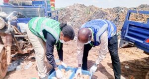 Ouagadougou: 88 600 poussins et une tonne d’aliments pour volaille détruits