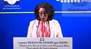 Gabon: le gouvernement interdit aux étrangers d’exercer certains «petits métiers»