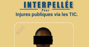 Injures publiques via les réseaux sociaux: une femme interpellée