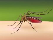 Burkina: le Gouvernement met fin aux activités du projet Target Malaria
