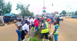 Ouagadougou: plus de «320 plants» pour embellir l’avenue Babou Paulin Bamouni