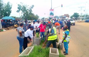 Ouagadougou: plus de «320 plants» pour embellir l’avenue Babou Paulin Bamouni