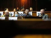 Afrique du Sud: sept ressortissants chinois condamnés à «20 ans de prison»