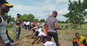 Lions club International: Koubri Racines plante plus de 2 000 arbres medécinaux et forestiers