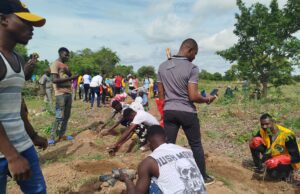 Lions club International: Koubri Racines plante plus de 2 000 arbres medécinaux et forestiers