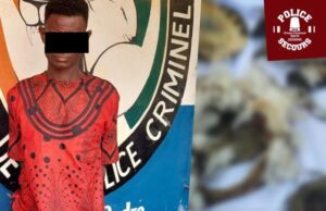 Côte d’Ivoire : un cultivateur arrêté pour meurtre et consommation de chair humaine à Méagui