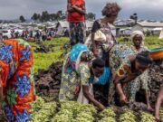 Pourquoi plus de 670 millions de personnes souffrent-elles de la faim ?