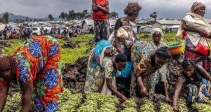 Pourquoi plus de 670 millions de personnes souffrent-elles de la faim ?