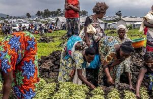 Pourquoi plus de 670 millions de personnes souffrent-elles de la faim ?