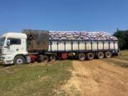 Burkina : plusieurs tonnes d’amandes de karité saisies