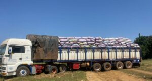 Burkina : plusieurs tonnes d’amandes de karité saisies