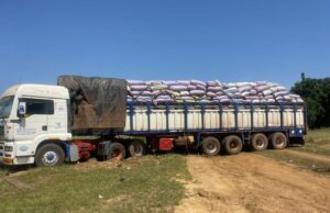 Burkina : plusieurs tonnes d’amandes de karité saisies