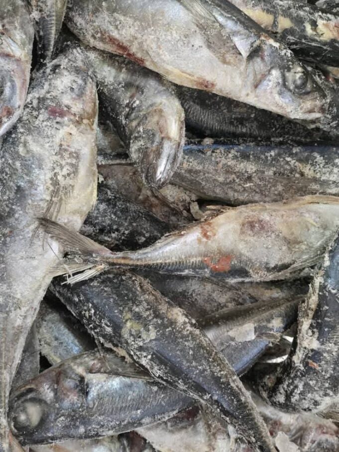 Ouagadougou/Marché halieutique: quand la transparence devient une exigence