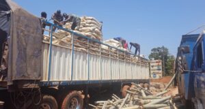 Lutte contre la contrebande au Burkina: plusieurs cargaisons illicites saisies