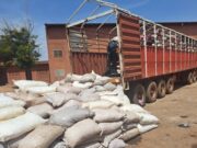 Burkina: «267 sacs» de cyanure saisis par la Douane