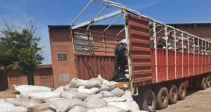 Burkina: «267 sacs» de cyanure saisis par la Douane