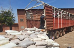 Burkina: «267 sacs» de cyanure saisis par la Douane