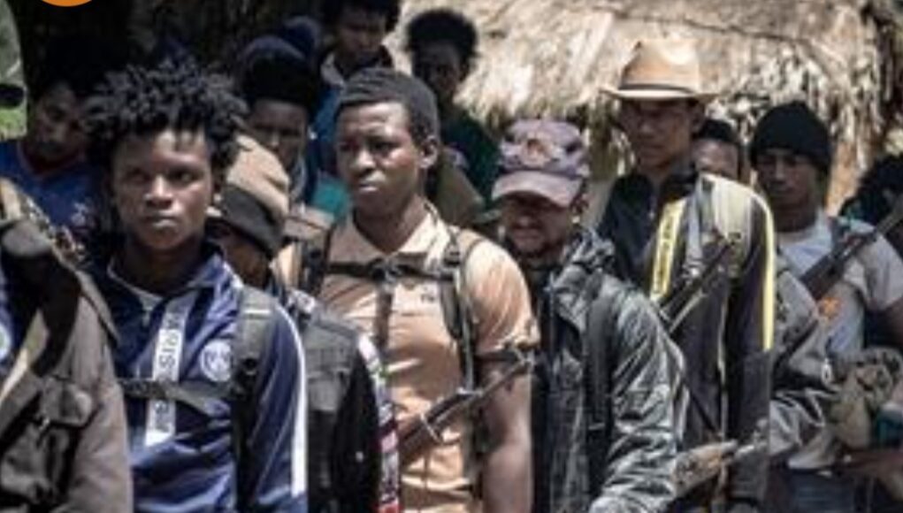 En République centrafricaine, les combattants d’un groupe armé déposent les armes