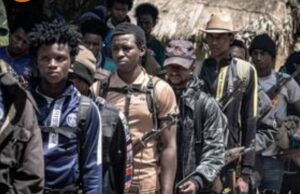 En République centrafricaine, les combattants d’un groupe armé déposent les armes