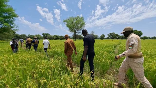 Image Burkina 24