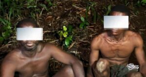 Deux individus interpellés après le meurtre d’une jeune femme