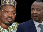 Présidentielle au Cameroun: deux vainqueurs en attendant le Conseil constitutionnel!