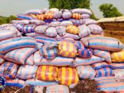 Burkina: 66 tonnes d’amandes de karité estimées à plus de 20 millions de FCFA saisies dans le Djôrô