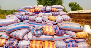 Burkina: 66 tonnes d’amandes de karité estimées à plus de 20 millions de FCFA saisies dans le Djôrô