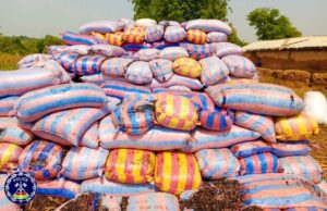 Burkina: 66 tonnes d’amandes de karité estimées à plus de 20 millions de FCFA saisies dans le Djôrô