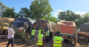 Burkina: plus de 1 800 tonnes d’amandes de karité saisies mises en vente au profit des caisses de l’Etat