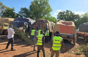 Burkina: plus de 1 800 tonnes d’amandes de karité saisies mises en vente au profit des caisses de l’Etat