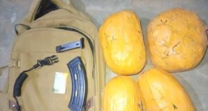 Niger: plus de «15 kg de cannabis» et une «arme saisies», «six interpellations»