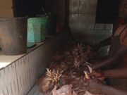 Ouagadougou: contrôle d’hygiène des sites d’abattage de volailles