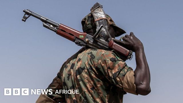 Soudan: la communauté internationale condamne, le FSR passe!
