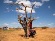 COP30: l’Afrique veut bien sauver Dame Terre, mais peut si peu!