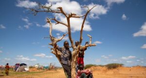 COP30: l’Afrique veut bien sauver Dame Terre, mais peut si peu!