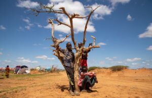 COP30: l’Afrique veut bien sauver Dame Terre, mais peut si peu!
