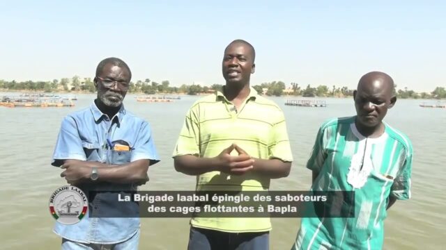 Burkina: ils sabotaient des cages flottantes à Bapla