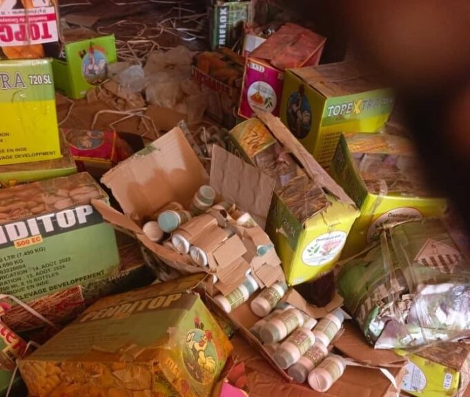 Burkina: opération coup de poing de la BERO